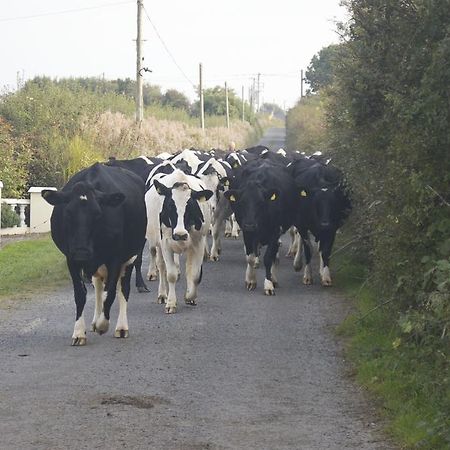 Greenfields Farmhouse Villa Ballylongford Luaran gambar